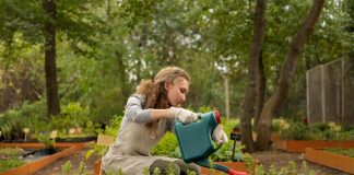 Raised Garden Beds: Are They Actually Worth Building? are raised garden beds worth it