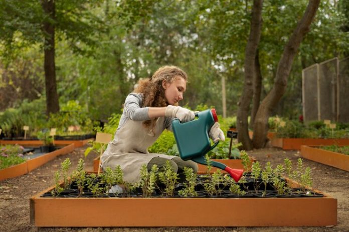 are raised garden beds worth it