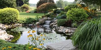 How to Level an Uneven Backyard: Landscaping Options and Costs? landscape design in Brighton