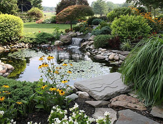 How to Level an Uneven Backyard: Landscaping Options and Costs? landscape design in Brighton