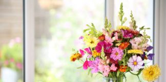 Vase Water Science: Why Your Flowers Are Dying Faster Than They Should Florage in Launceston